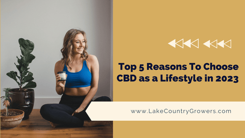 Top 5 Reasons To Choose CBD as a Lifestyle in 2023