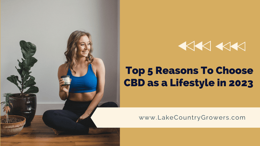Top 5 Reasons To Choose CBD as a Lifestyle in 2023
