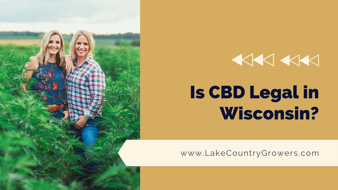 Is CBD Legal in Wisconsin?