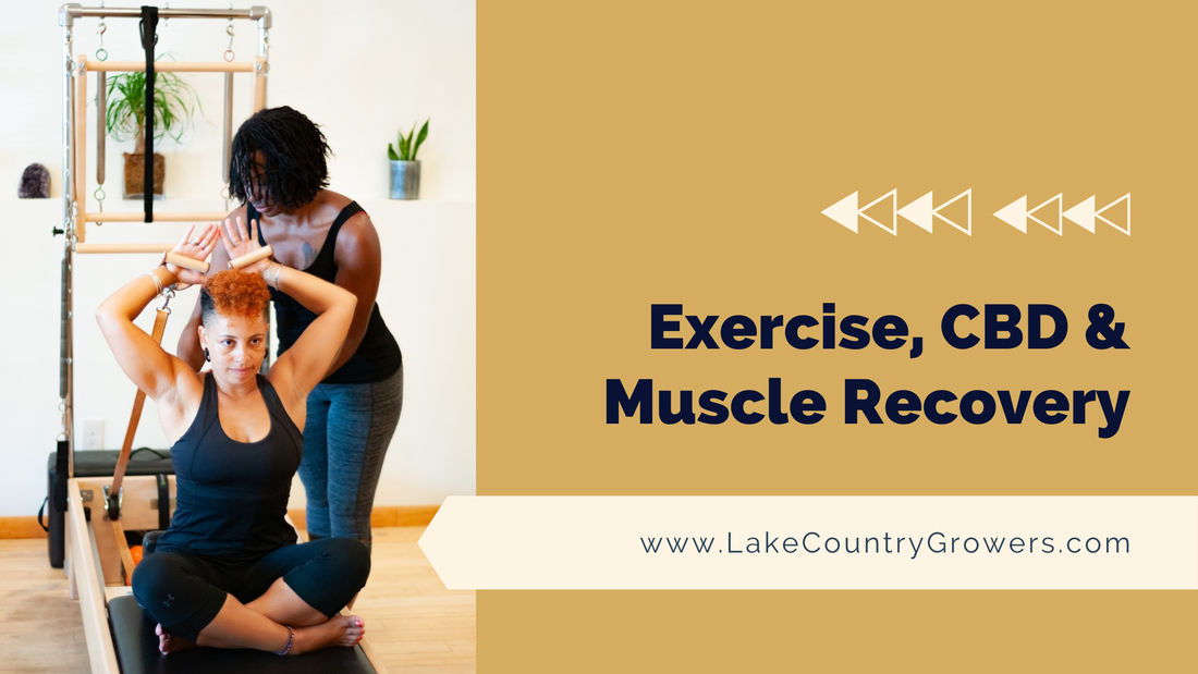 Exercise, CBD & Muscle Recovery