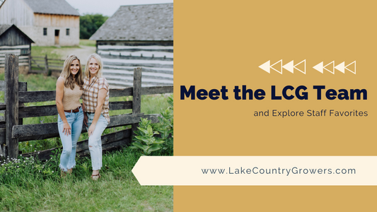 Meet the LCG Team and Explore Our Staff Favorites