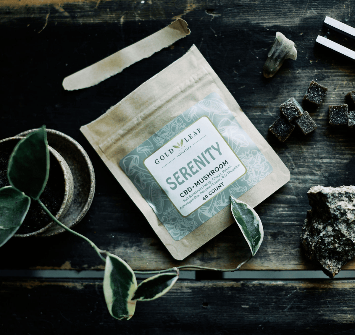 Serenity Functional Mushroom and CBD Blend. Formulated to help you feel your best.